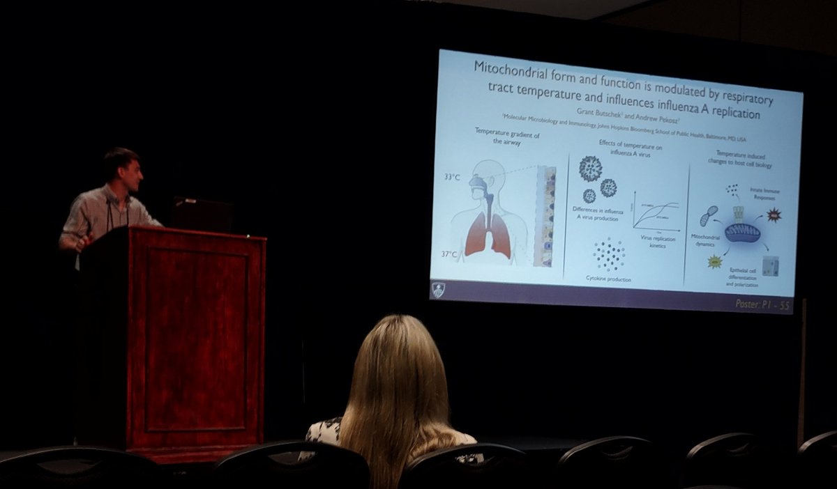 If you are at #ASV2023 and interested in influenza, temperature and mitochondria, come to Grant's poster P1-55 tonight!!!