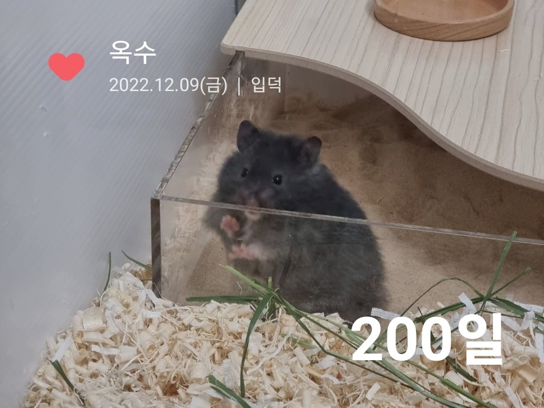 벌써 이만큼이나🥹🥹