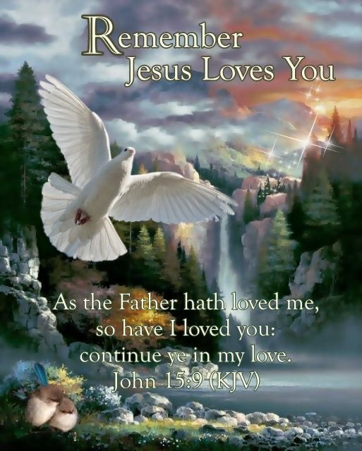 Warriortotruth's tweet photo. Goodnight Family 😴
   God Bless Your Rest Tomight 🙏🕊️
      I Love You Guys! 🤗♥️ https://t.co/8iAXb7lLLz