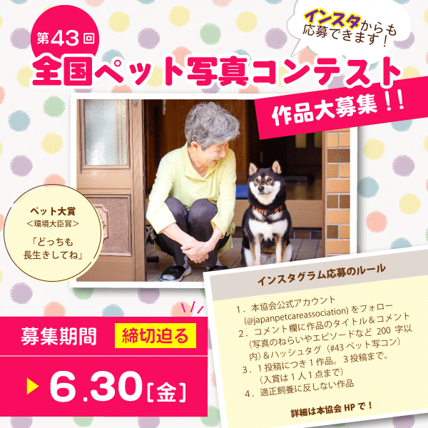 JPCA_org's tweet photo. 【第43回 #全国ペット写真コンテスト 締切迫る！】
現在募集中の「全国ペット写真コンテスト」。応募締切が６月30日（金）に迫っております。
皆さまからのご応募をお待ちしております。
https://t.co/I7MbL59viC https://t.co/m4Q7UTnsnd