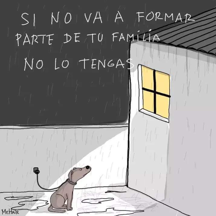 salvandohocicos's tweet photo. Consejo de domingo ✌🏻 https://t.co/1UFqGkDdIl