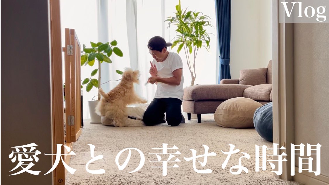 daichiwanwan's tweet photo. バンバンバーン遊びw🤣🐶✌️✨
⬇︎⬇︎YouTubeはコチラ⬇︎⬇︎
https://t.co/PbEx36Fx9d https://t.co/uz29dfcwGM