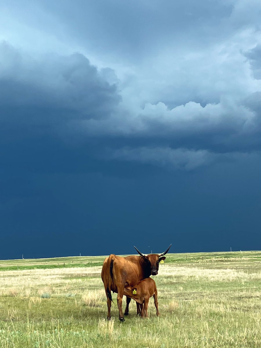 At least some folks to the south and east received some blessed rain, better somebody than nobody.