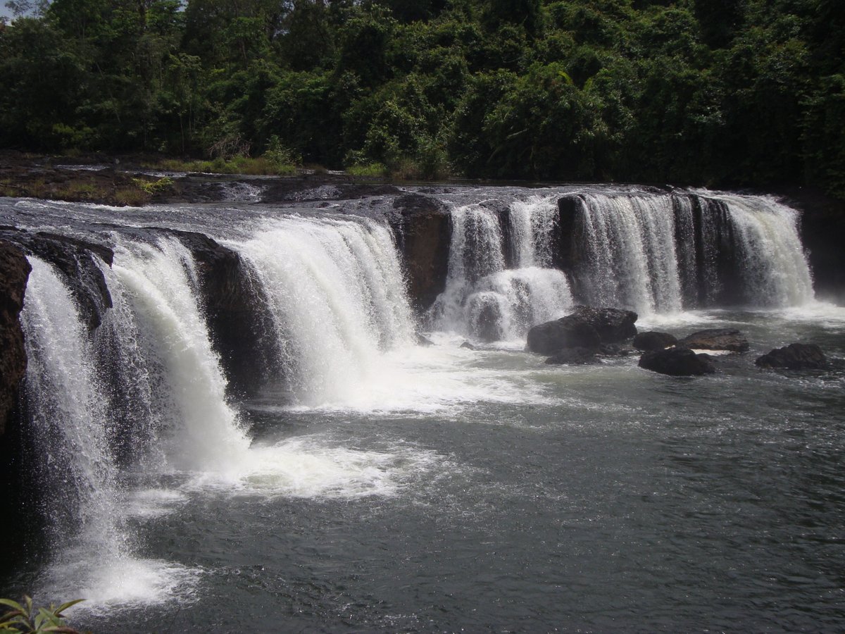 dr_suwanna's tweet photo. Let’s celebrate the #Cardamoms. This rainforest is essential for global #climateregulation and national freshwater supply. The rainforest feeds over 20 major waterways, serving countless communities along the way.
#CardamomsForever #protect #rainforest #wildlife https://t.co/sqYBgzJJ81