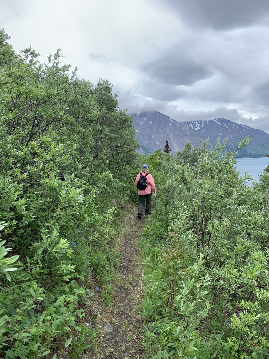 LambertiAdriano's tweet photo. Really getting into this hiking thing. https://t.co/24yGvOtDl8