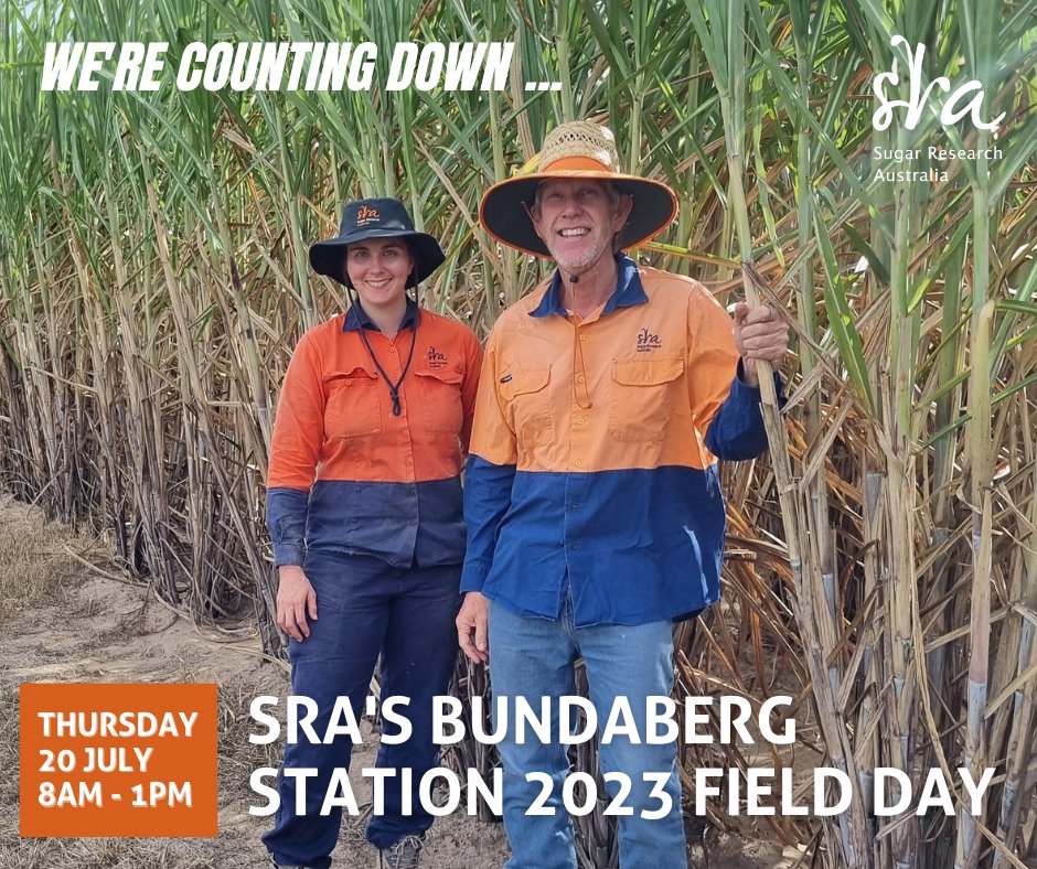 Will we see you at the Bundaberg Field Day this year?
SRA’s Southern Variety Development team, Clare Hogan and Roy Parfitt (below) will take you on a guided varieties research walk. Check out the program: bit.ly/46mmMbG Book today: Trybooking: trybooking.com/CILTZ