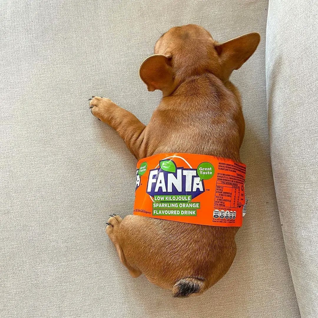 Real Fanta🤣