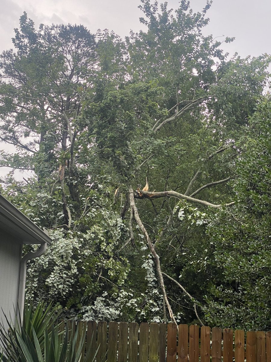Annie McCuen (@annie_mccuen) on Twitter photo Crazy storms in the Upstate! So long, my favorite tree ⚡️
📍: Taylors, SC
<a href="/wyffnews4/">WYFF News 4</a>
<a href="/ChrisWYFF4/">Chris Justus, WYFF 4 Chief Meteorologist</a> Crazy storms in the Upstate! So long, my favorite tree ⚡️
📍: Taylors, SC
<a href="/wyffnews4/">WYFF News 4</a>
<a href="/ChrisWYFF4/">Chris Justus, WYFF 4 Chief Meteorologist</a>