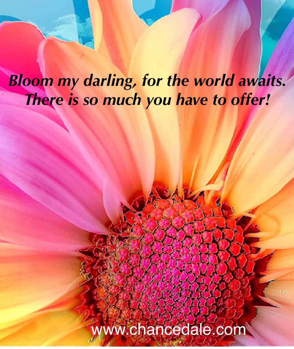 It’s been a tough year for many but it’s time to start finding moments to re-enter life. 💜 <a href="/ChancedaleNFT/">Chancedale</a> <a href="/PsychicYankee/">🔮CryptoPsychic</a> <a href="/YankeeUnMuted/">YankeeUnMuted</a> <a href="/Chance_Takers/">Chance Takers</a> <a href="/DeniseBach13/">Denise Bach</a> #takeachance
#babysteps
#pickinguppieces