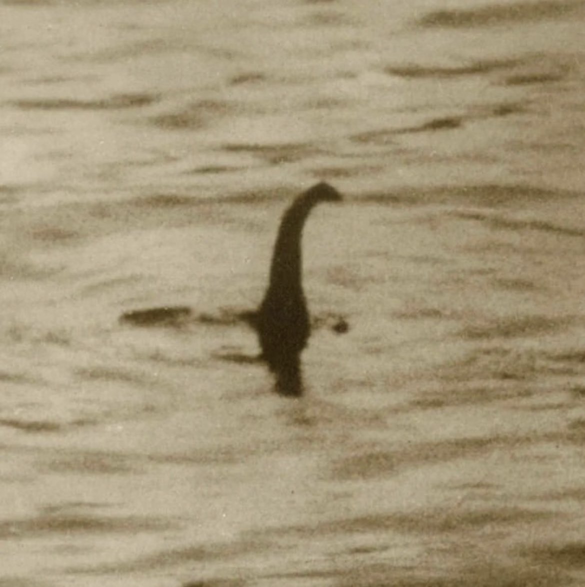 The legend of the Loch Ness Monster dates back to ancient times, with the first written account claiming that the creature brutally attacked swimmers in Loch Ness, located in modern-day Scotland, in 565 C.E. It was not until Irish abbot St. Columba ordered the animal to leave…