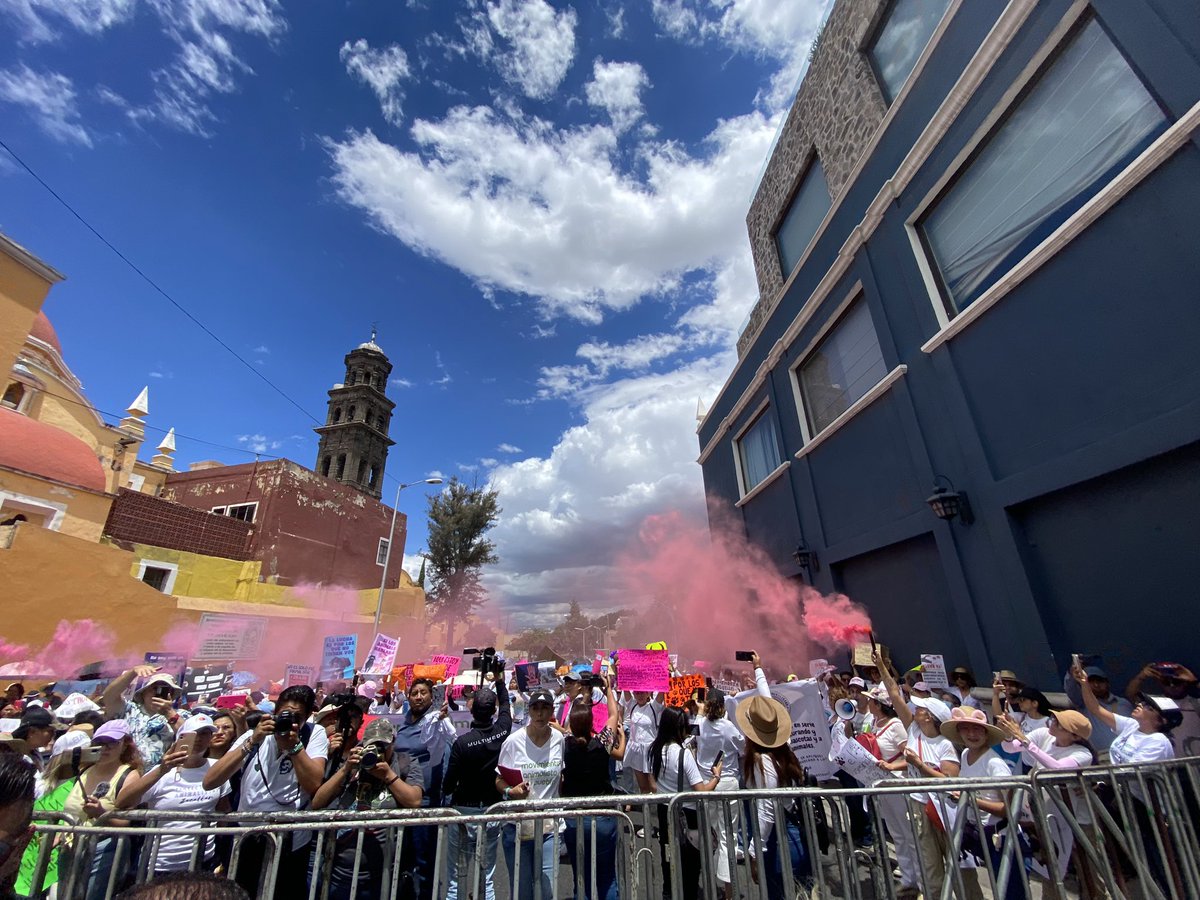 Movimiento Animalista de Puebla tweet media