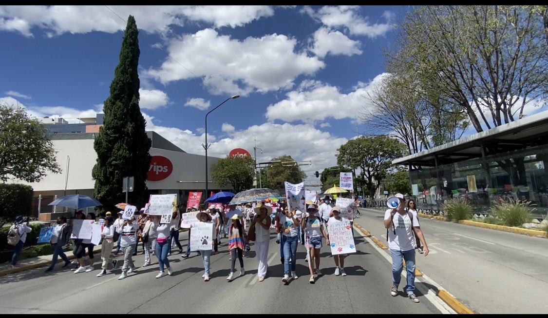 Movimiento Animalista de Puebla tweet media