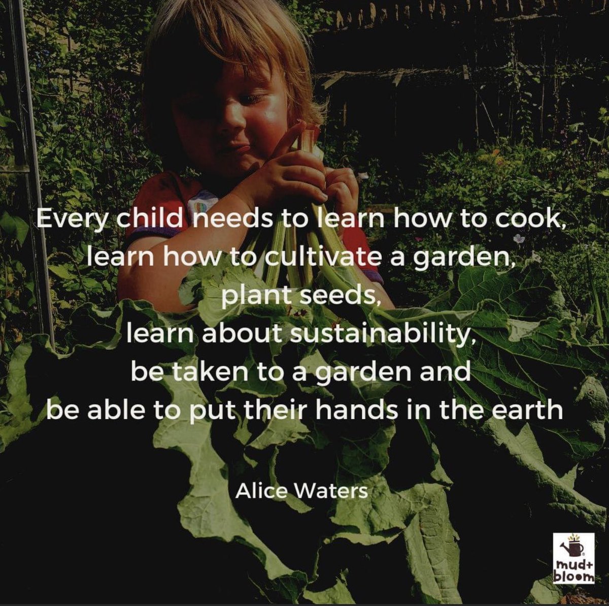 monika_chovanec's tweet image. #childeren