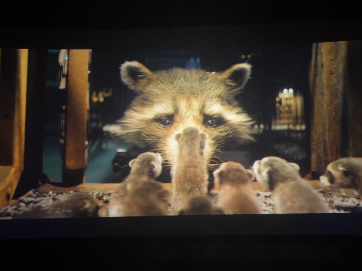 When the rocket sees its own kind. I cried🥹😭
#RocketRaccoon #GuardiansoftheGalaxyVol3