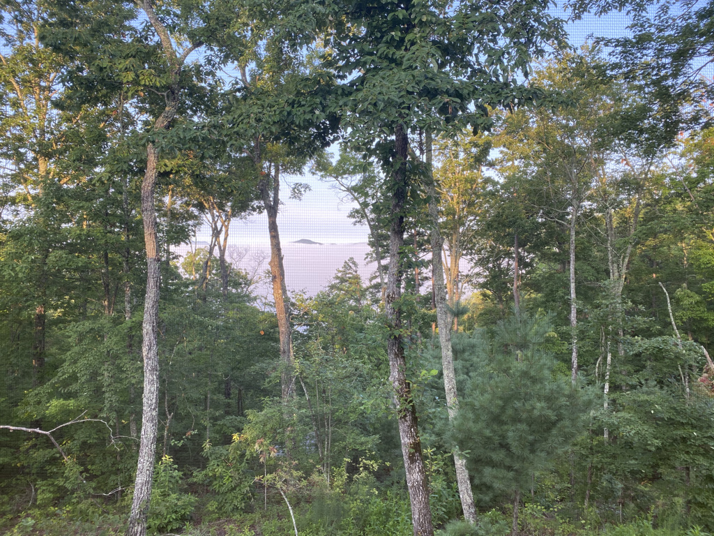 NeriOxman's tweet image. Seeking an expert botanist for Manhattan's flora research. Passionate about NYC and plants? Send us your resume and experience at the link below.

jobs.lever.co/OXMAN/97d2d4bc…

#Manhattan #Botany #Research