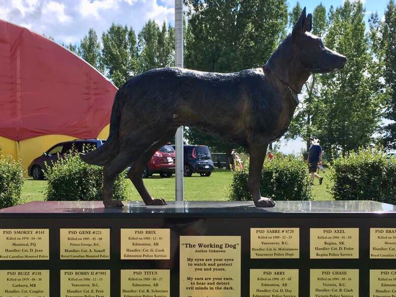 HerosofCanada's tweet photo. Never Forget 🇨🇦
Police Service Dog Bailey  #1198  
@VancouverPD @VPDCanine 
Service tenure January 2013-April 2019
E.O.W.  2019-06-25  Partner Cst. Lequesne 
Honour Them https://t.co/gO5Ujb14EO