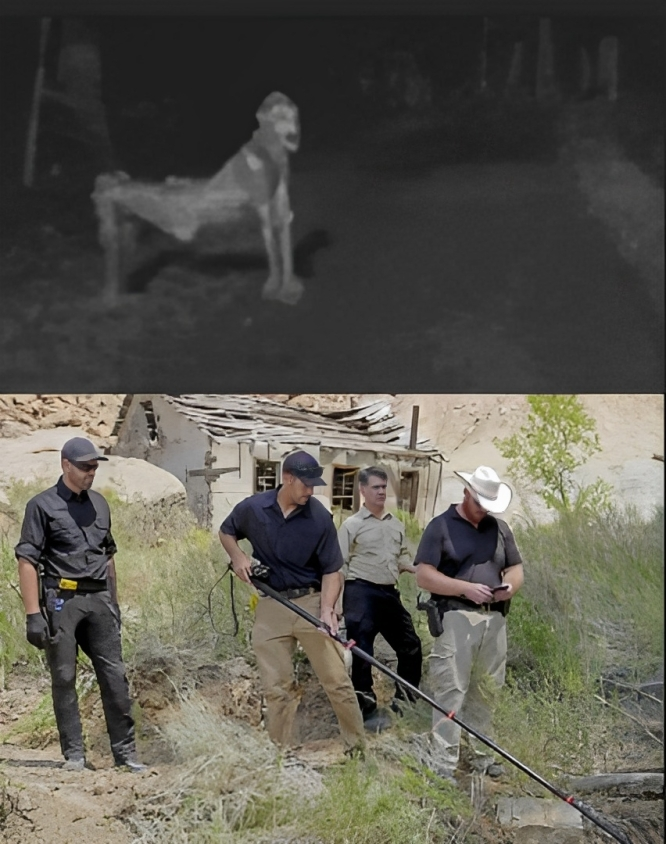 rarestorees's tweet photo. In 1996, a Utah family fled their ranch in terror after seeing a wolf-like humanoid on their property.

With glowing red eyes and an apparent immunity to bullets, the creature they spotted may have been the mythical Skinwalker.

The Navajo legend behind a shapeshifter is so evil that some tribespeople won't dare to speak its name. The ranch has become a center for paranormal studies.

image: Skinwalker(top), and a team carrying out paranormal studies on the ranch.