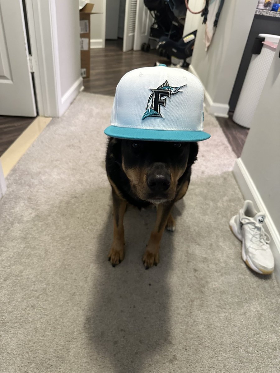 Saucy_Jenkins's tweet photo. @AStanifer3 @tannerstruth @GratefulKeg @Marlins forgot to show y’all I got a new hat (lyla modeled) #ourfish https://t.co/j4gnPwyJax