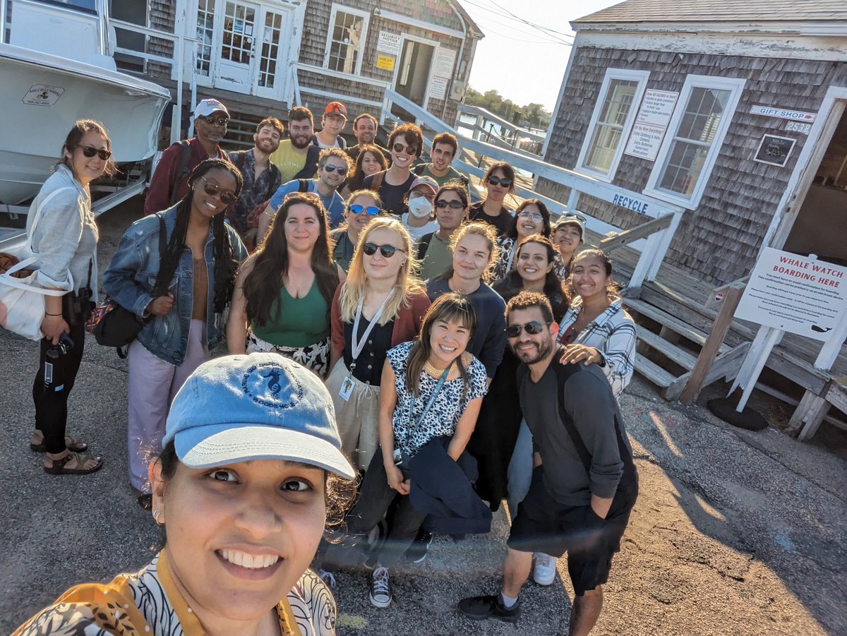 Zainab Afzal tweet media