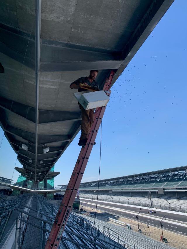 @nycsouthpaw Indy 500 this year.  Bee keeper was happy.