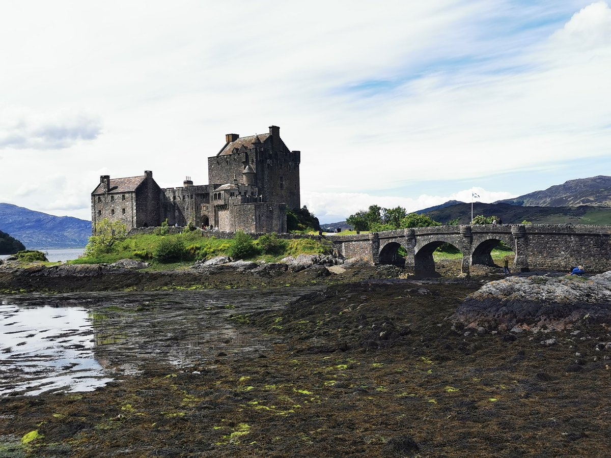 Andy Cunningham #1 tweet media