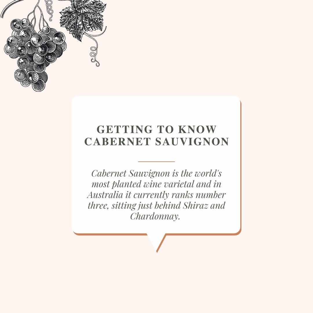 Cabernet Sauvignon is the world's most planted wine varietal. In fact, it is grown in almost every major wine region globally, showing off its versatility across a broad spectrum of environments.

Get to know more about it in our latest blog.
🔗edenvale.com.au/latest/getting…

#edenvale