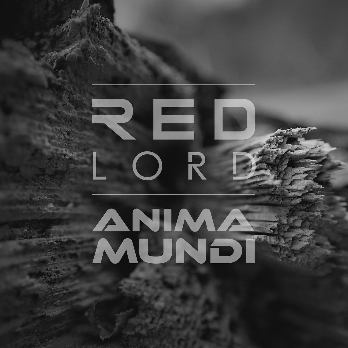 RealRedLord's tweet image. My debut album - Anima Mundi, available on Bandcamp from 26/06/23

redlord1.bandcamp.com/album/anima-mu…