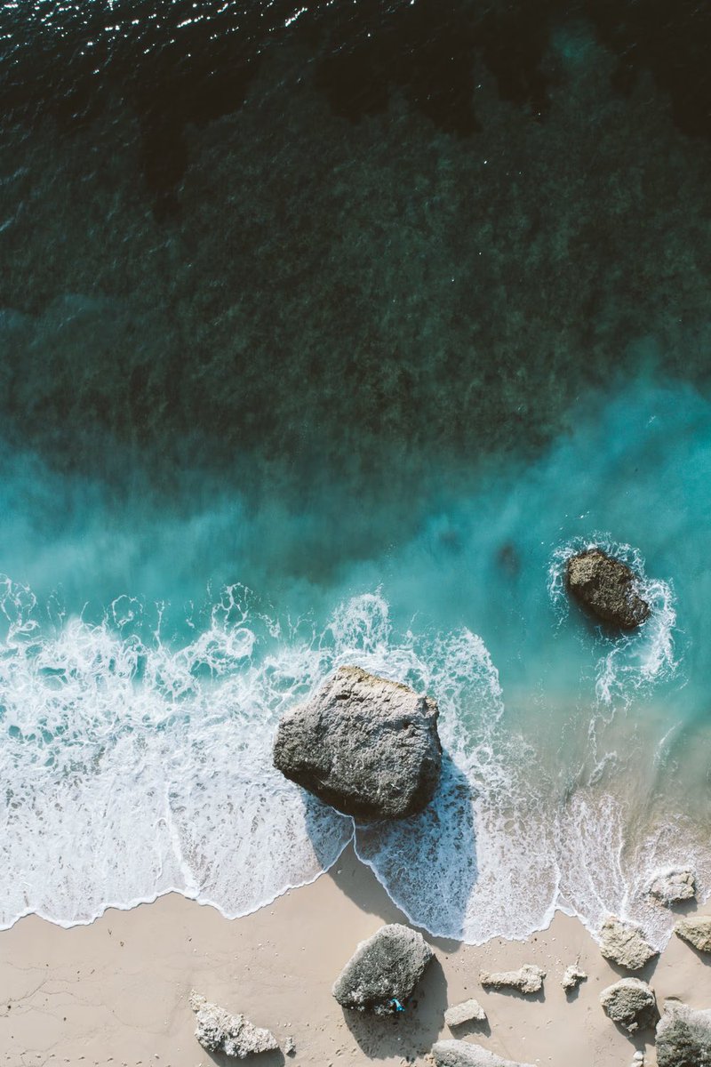 Ⓜ️ICHÆL🥤🌐 • 📷’er📍42°N | Emergence Edition x 20 tweet media