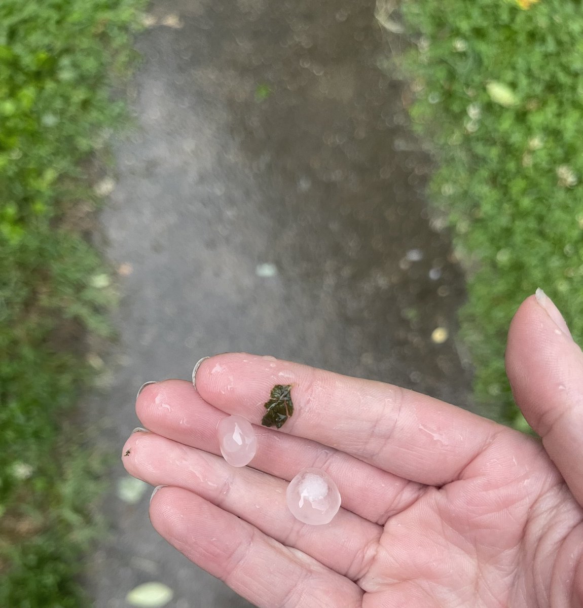 KelliGreyWX's tweet photo. Pea and nickle sized hail falling in PRP @NWSLouisville #kywx https://t.co/LXGEsuVhKz