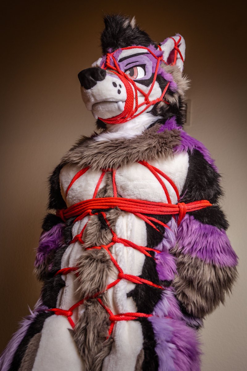 放課後部 ｓｈｉｂａｒｉ🪢 tweet media