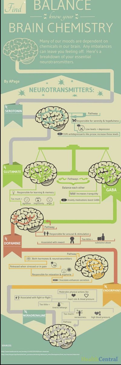 Basic neurotransmitters 

Source health center