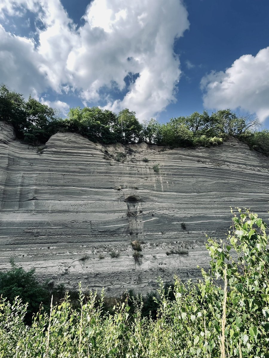 Geoceanic's tweet photo. Preparations for the 2nd post-cruise meeting of @JRSO_IODP #Exp392 hosted by @UUEarthSciences are underway. Spent this past weekend with @peterbijlWilkes volcano hunting around the Eifel, Germany for our post-meeting excursion.
🌋⛴️ 🇿🇦🦖☄️🧫🪨🔬🇳🇱 🇩🇪 https://t.co/r4BsMtv5Zo