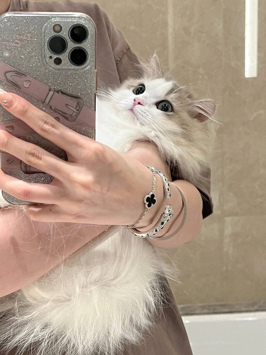 noria116's tweet image. #A cat will be your furever friend#Home is where the cat is