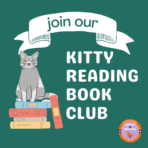 ElPasoAnimalSvc's tweet photo. Join us for an upcoming KRBC Orientation:
⭐Sunday, July 2nd @ 9am - 📍 5001 Fred Wilson Ave.⁠
⭐Saturday, July 15th @ 9am - 📍 5001 Fred Wilson Ave.

Must RSVP your attendance by emailing 📧 EPASvolunteer@elpasotexas.gov https://t.co/kRjks770bE