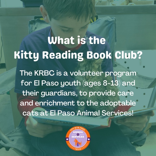 ElPasoAnimalSvc's tweet photo. Join us for an upcoming KRBC Orientation:
⭐Sunday, July 2nd @ 9am - 📍 5001 Fred Wilson Ave.⁠
⭐Saturday, July 15th @ 9am - 📍 5001 Fred Wilson Ave.

Must RSVP your attendance by emailing 📧 EPASvolunteer@elpasotexas.gov https://t.co/kRjks770bE