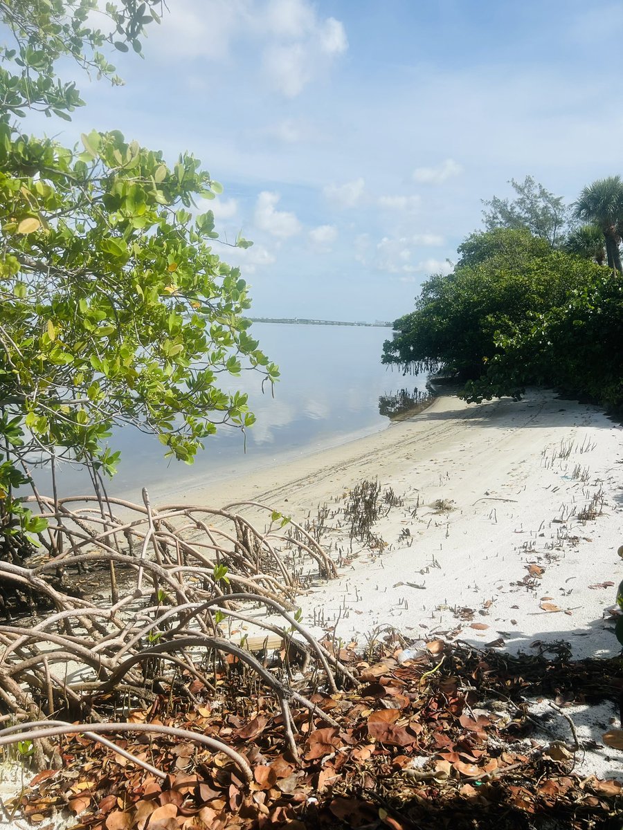 Powerful message this morning, Tell them “I AM” sent you.  🙏🏽🙏🏽