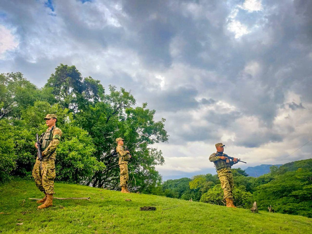 FUERZA ARMADA tweet media