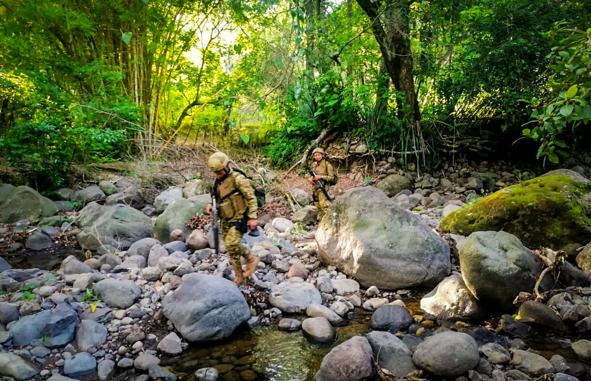 FUERZA ARMADA tweet media