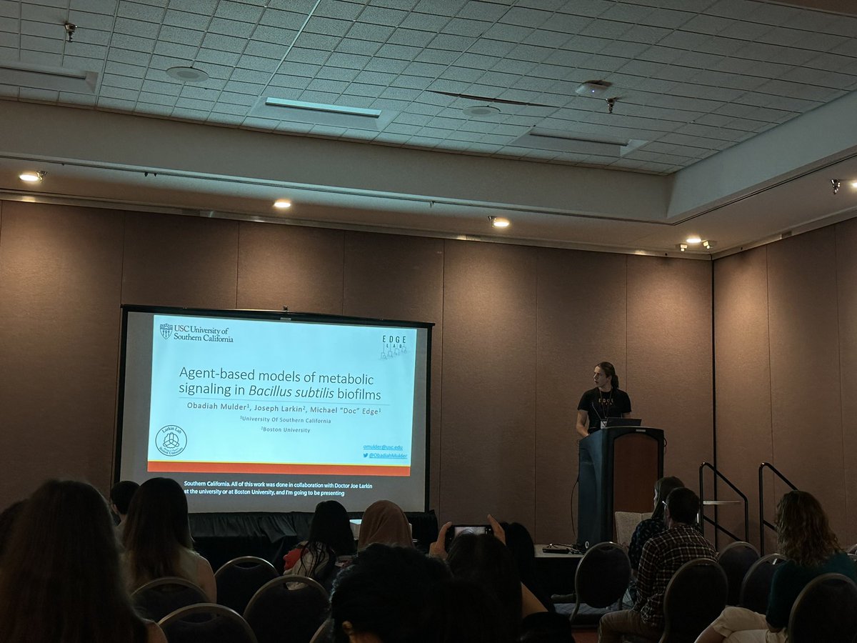 Feriel Ouerghi tweet media