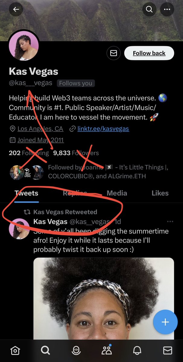 Kas Vegas tweet media