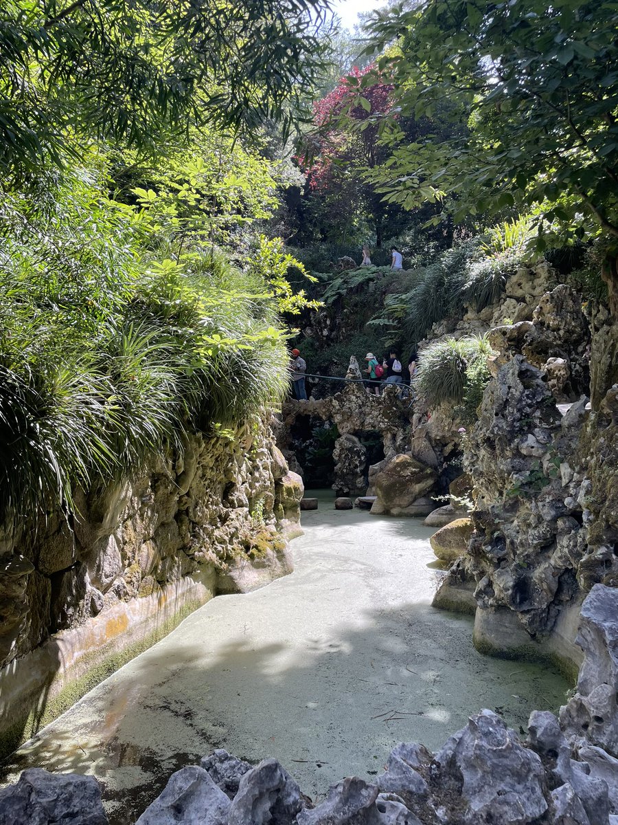 𝒯𝓇𝑜𝒷𝒶𝓇𝒾𝓈𝓉 𓆙 tweet media