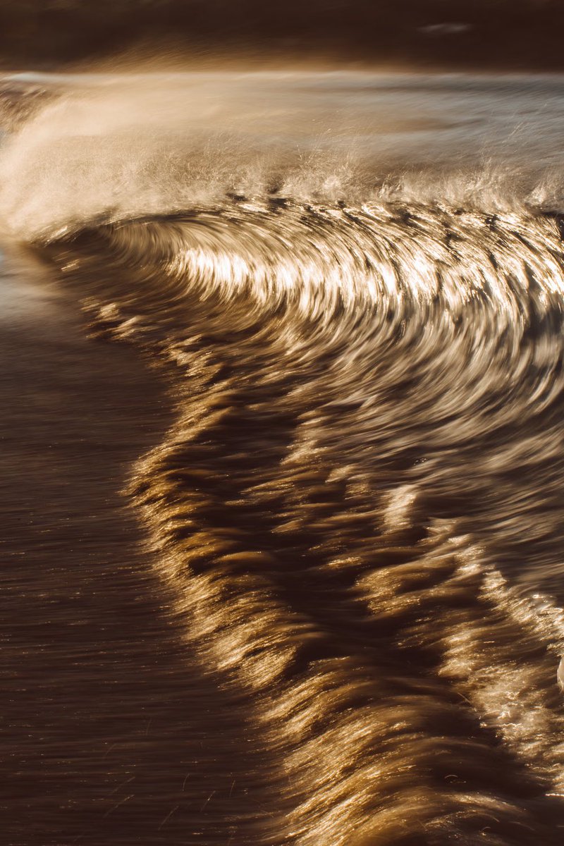 Ⓜ️ICHÆL🥤🌐 • 📷’er📍42°N | Emergence Edition x 20 tweet media