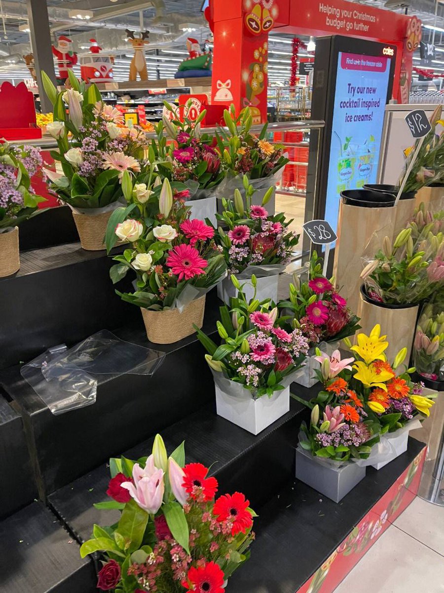 Gypsophila🤩 tweet media