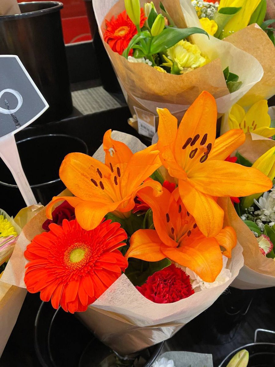 Gypsophila🤩 tweet media