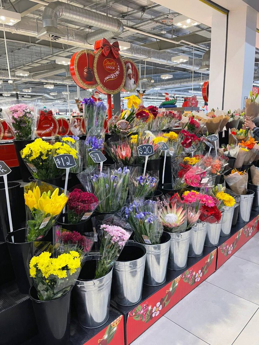 Gypsophila🤩 tweet media