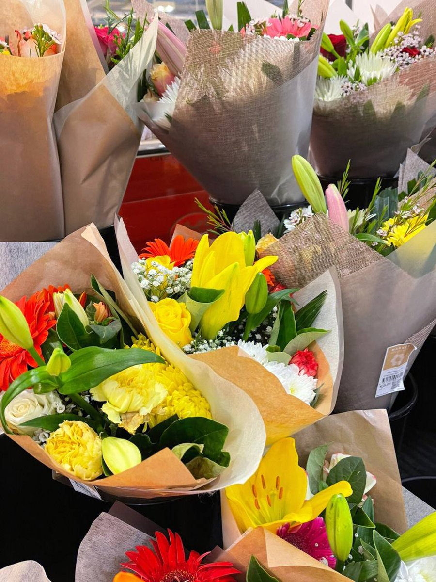 Gypsophila🤩 tweet media