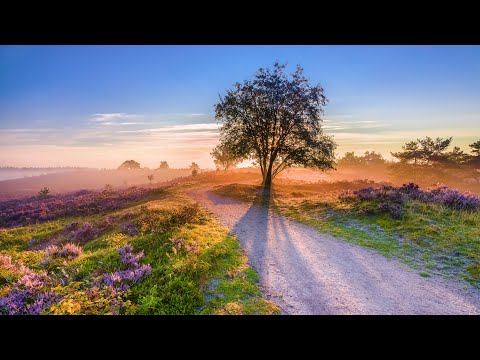 d74OzK3W0xpFmXq's tweet photo. Beautiful Relaxing Music, Peaceful Soothing Music, "In the Place of Dreams" by Tim Janis

https://t.co/Sdpa8KvCvl https://t.co/8C1S74g2xV