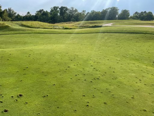 LVilleMetGolf tweet picture