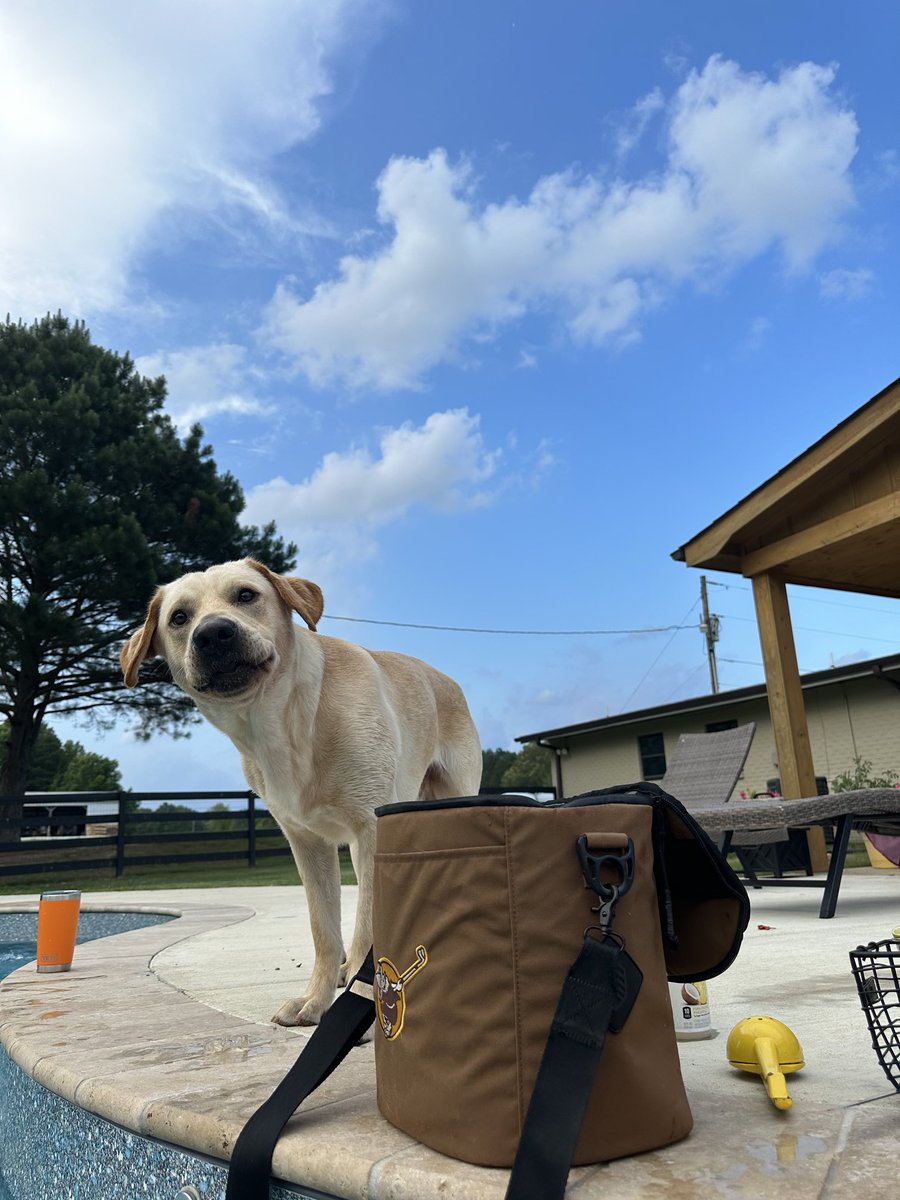 Juice Kiffin on Twitter "Not my best photo"