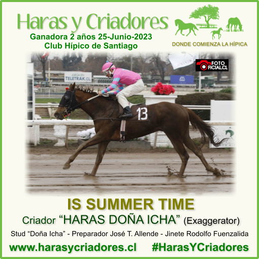 harasycriadores's tweet photo. IS SUMMER TIME criada en HARAS DOÑA ICHA (hija de Exaggerator) Vencedora Condicional Hembras de 2 años No Ganadoras 1000 metros Club Hípico de Santiago Domingo 25 de Junio 2023 https://t.co/JCoAH9UfxY #HarasYCriadores #IsSummerTime #HarasDoñaIcha #Exaggerator #ClubHípicoSantiago https://t.co/5jN228dvNU